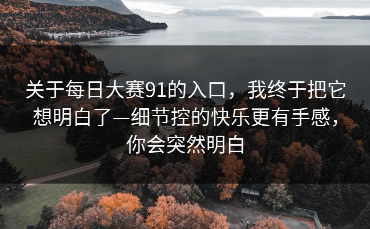 关于每日大赛91的入口，我终于把它想明白了—细节控的快乐更有手感，你会突然明白