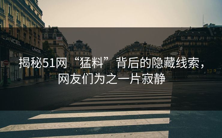 揭秘51网“猛料”背后的隐藏线索，网友们为之一片寂静