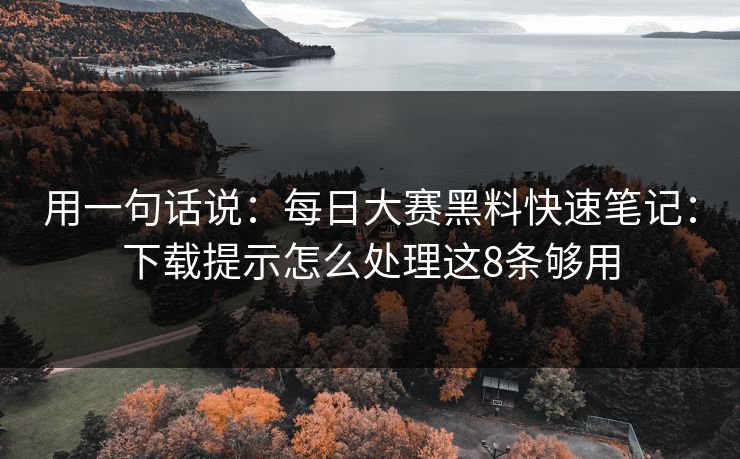 用一句话说：每日大赛黑料快速笔记：下载提示怎么处理这8条够用